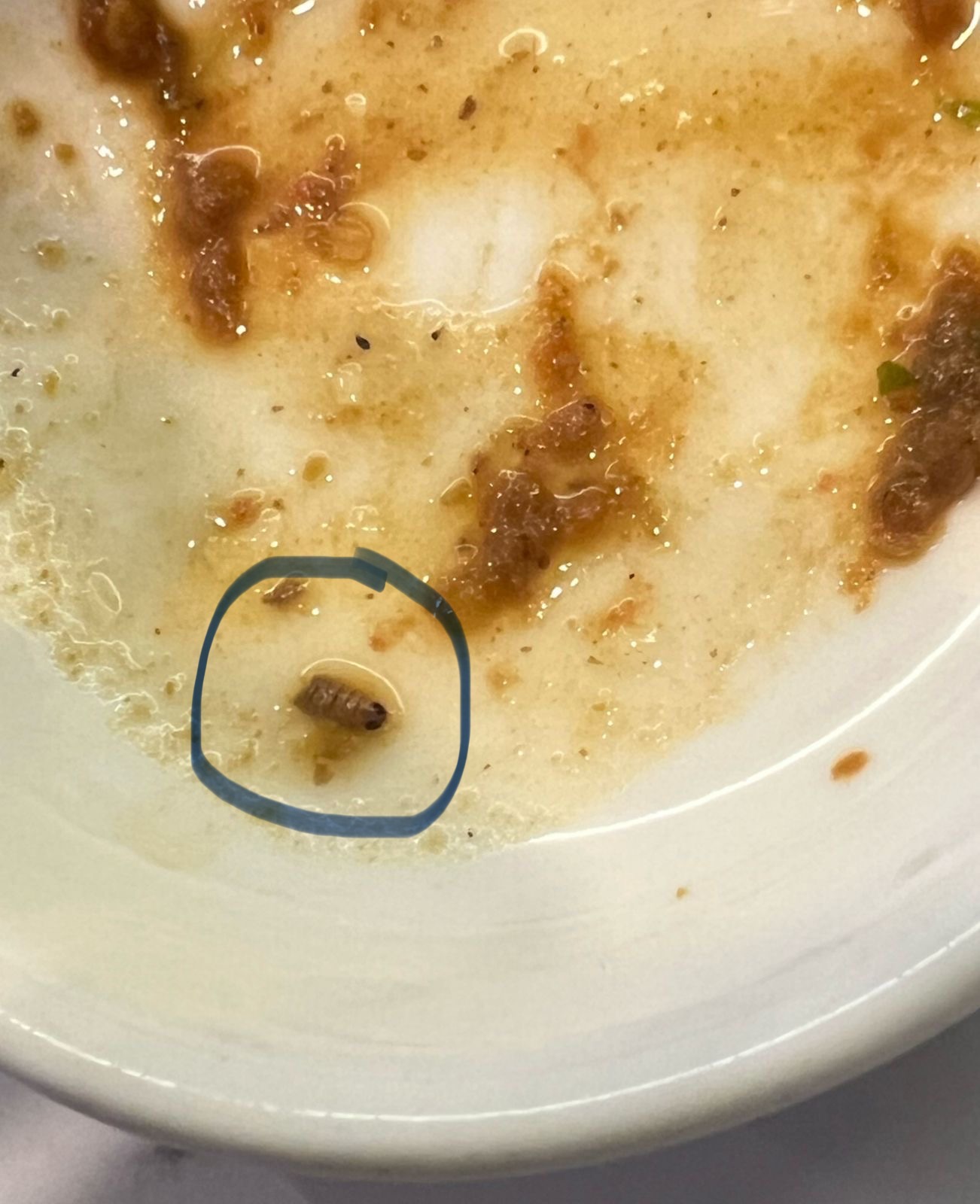 (Foto: Dokumentasi ulat di makanan Kapurung Ikan) 